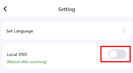 VPN 测试 2:如何发送 DNS 泄漏?
